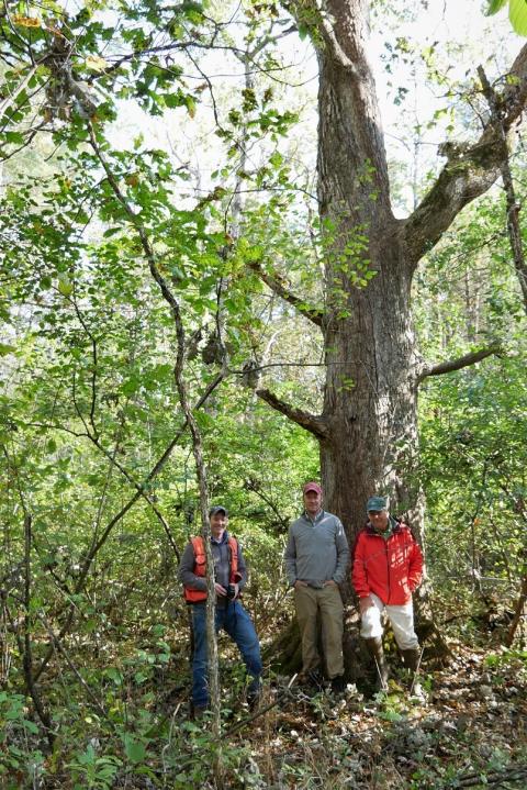 Author with forestry friends