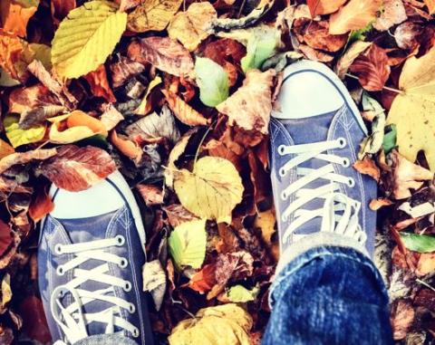 two shoes in fall leaves