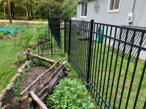 garden bed near fence