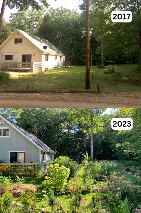 house with bare lawn in 2017 and same house with gardens surrounding in 2023
