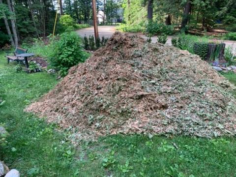 pile of woodchips in a yard