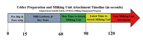 Udder Prep and Milking Unit Attach Timeline