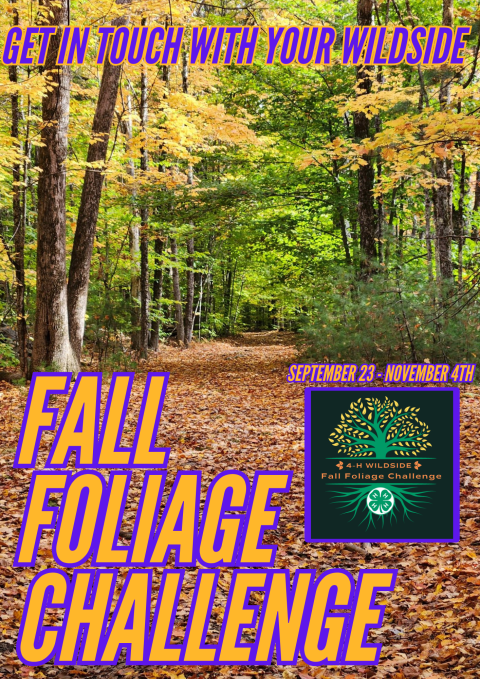 4-H Fall Foliage Challenge 2023