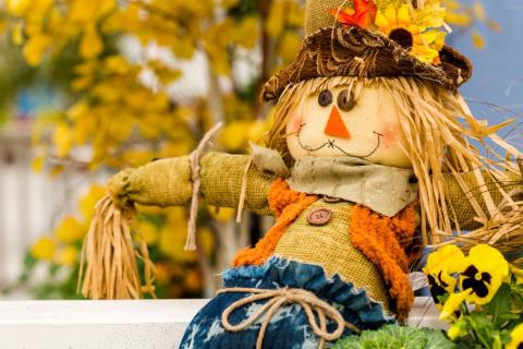 2023 North Country Fruit and Vegetable Seminar and Tradeshow Scarecrow