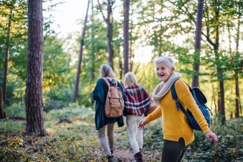 Three older adults walking in woods