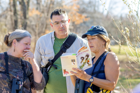 Three people reading a birding book
