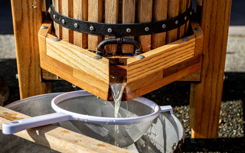 Apple cider press