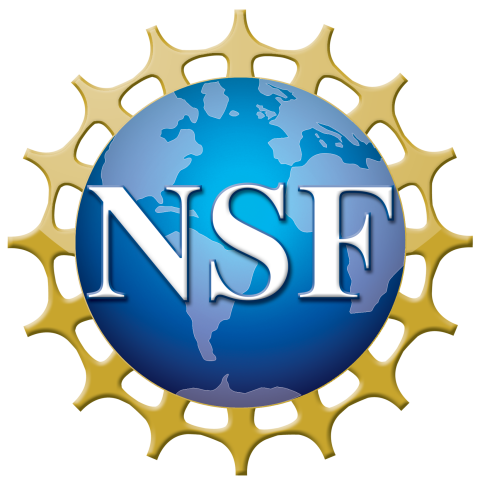 NSF logo featuring a globe
