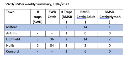 SWD weekly summary