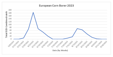 European Corn Borers graph