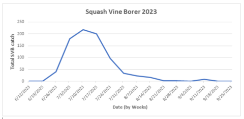 Squash Vine Borer graph
