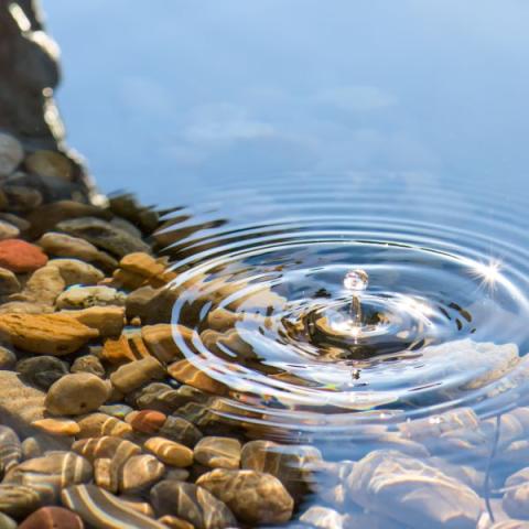 droplet of water making ripples in water-covered bed of small pebbles