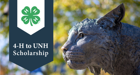 Text: 4-H to UNH Scholarship with 4-H clover and UNH wildcat statue