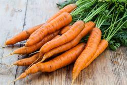 carrots