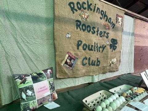A 4-H display about chickens.