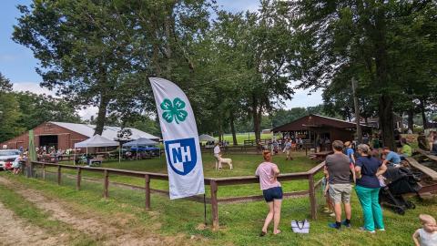 An animal showring at the county fair with people looking at youth showing sheep.