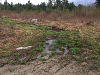 Wet muddy trail in the field