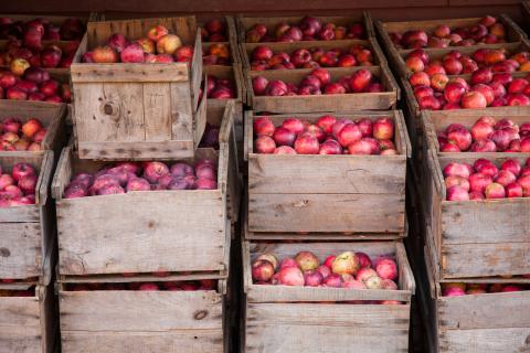 apple crates