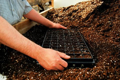 Person filling a plant tray with growing medium.