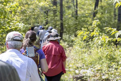 Coverts on the trail