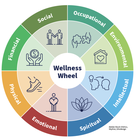 The Wellness Wheel's 9 Self-Care Categories — Parent Self Care