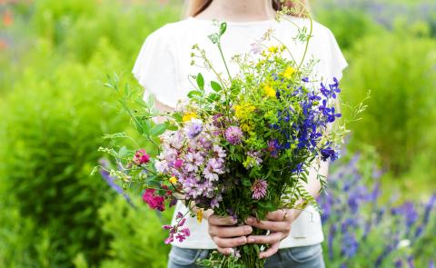 wildflower bouquet held by a girl in a field