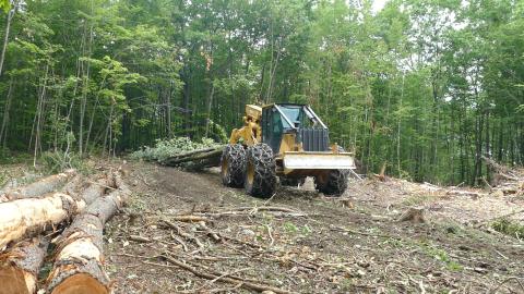 timber harvest equipment