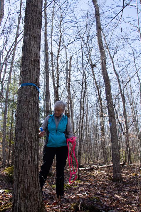 woman marking a tree with pink tape