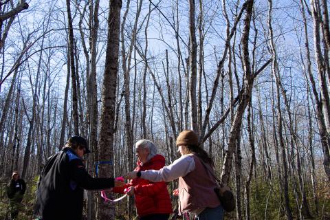 women outside putting pink ribbon on a tree