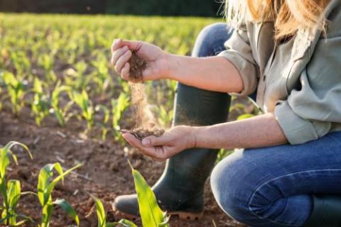 farmer holding dry soil, drought