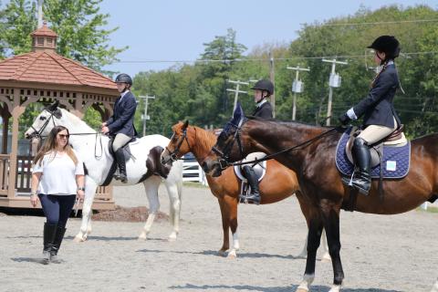 4-H and Open Horse Show
