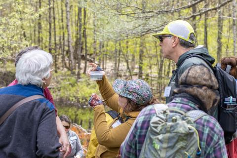 participants looking at salamander eggs