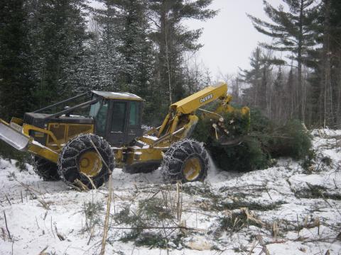 Skidder hauling a group of trees