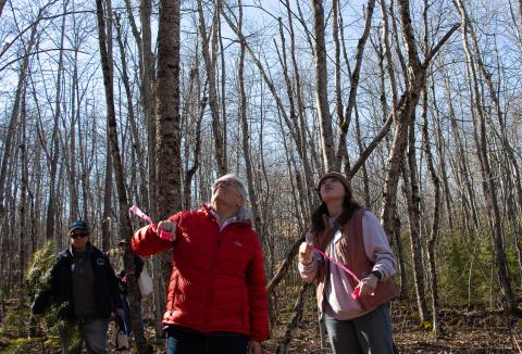 women in the woods