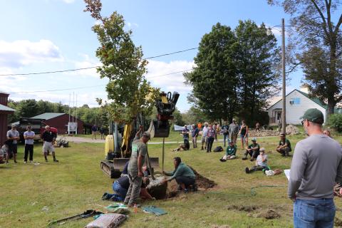 tree planting workshop