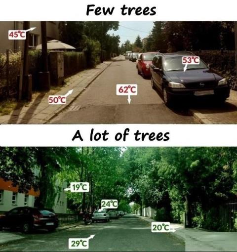 to street images with temperatures marked showing the difference shade makes
