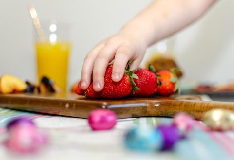 child's hand choosing a strawberry