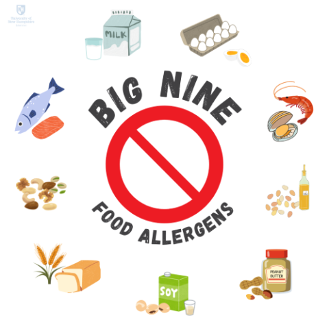 Big Nine Food Allergen with milk, eggs, fish, shellfish, tree nuts, peanuts, wheat, soybeans, and sesame