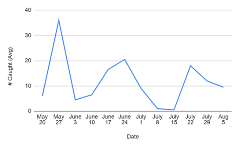 Example of codling moth trap captures at one location in Merrimack County over the 2024 season