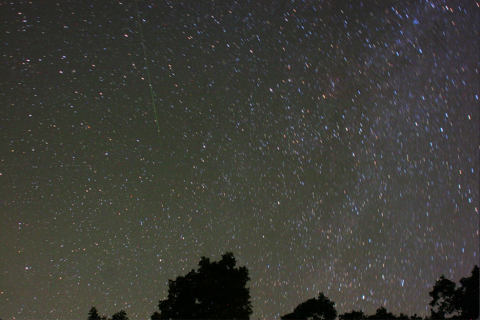 Meteor shower in night sky