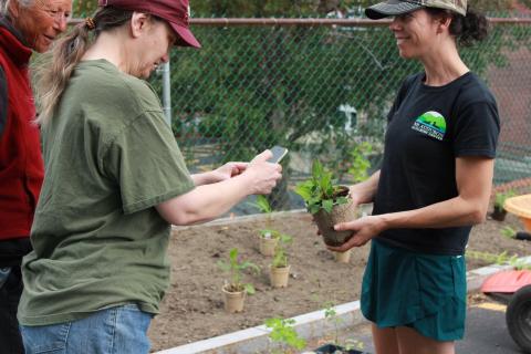 Person taking a photo of a plant that another person is holding up