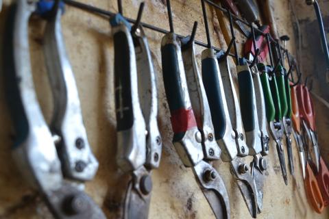 row of pruning pliers hanging on a wall