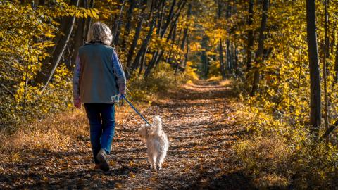 Woman walking dog along a walking path in the woods during fall season.