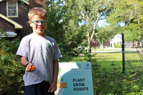 Boy holding tomatoes in garden