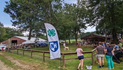 Picture of a 4-H animal show ring with spectators.