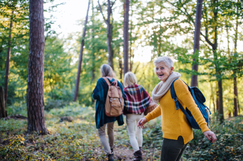 A group of women walk together in the woods