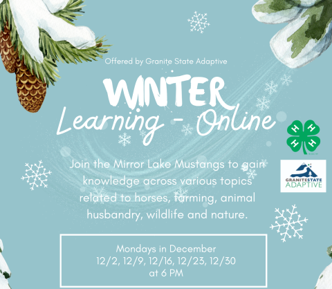 4-H Virtual Education Series: Equine, Farming, Wildlife, Nature, and Animal Husbandry Topics with Mirror Lake Mustangs!