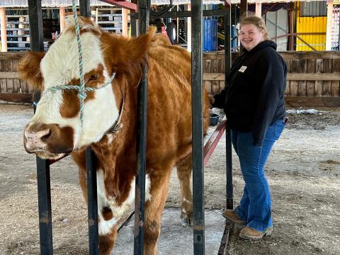 Beef Field Day