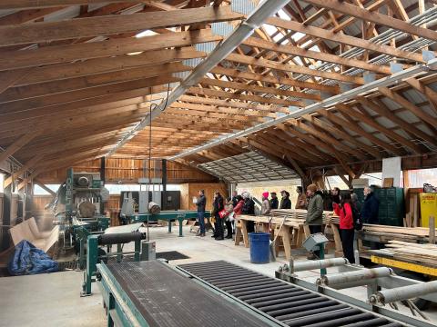 group of participants watching tree logs get processed at a sawmill