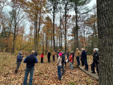 participants watching steven roberge speak about timber while standing in the woods